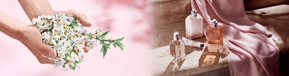 Cherry Blossom Collection